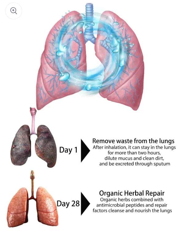 Organic Herbal Lung Cleanse Repair Nasal Spray