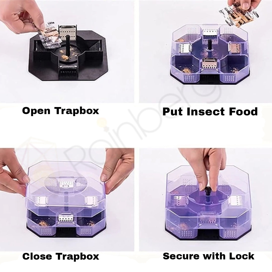 Multisided Cockroach Trap Box