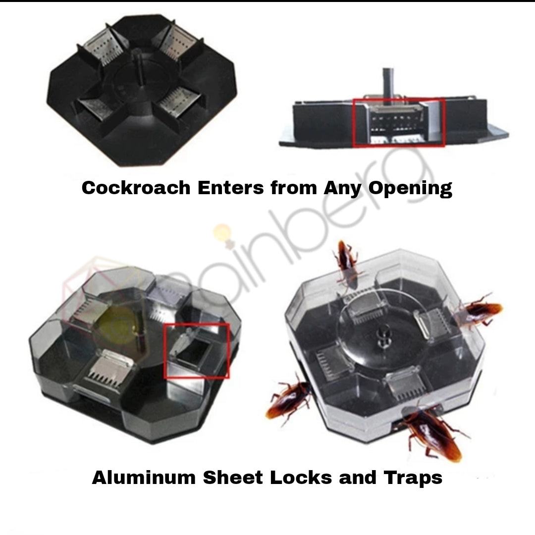 Multisided Cockroach Trap Box